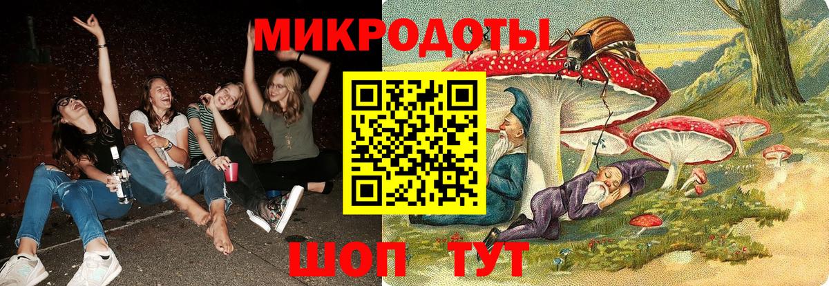 Псилоцибиновые грибы мицелий Заволжье