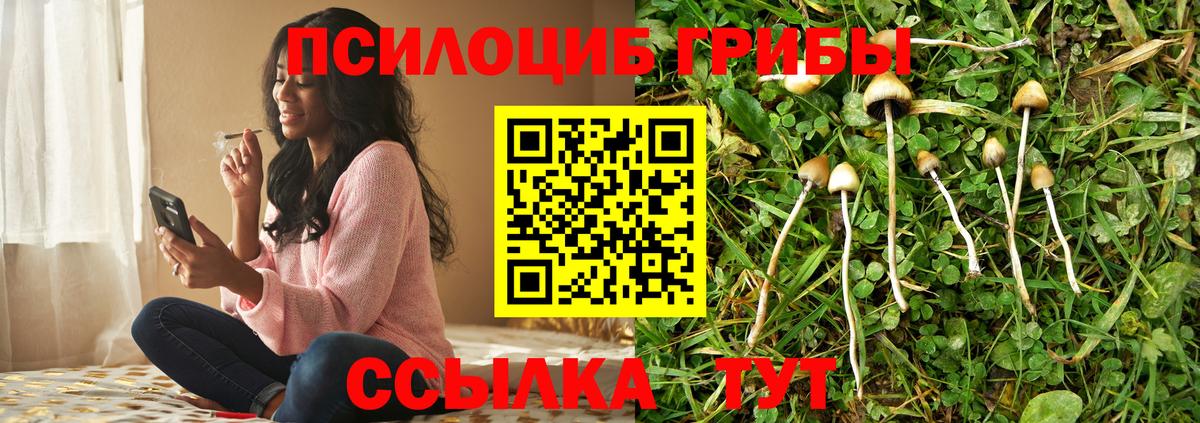 Псилоцибиновые грибы GOLDEN TEACHER  Вход с VPN  Заволжье 